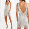 New Style Women's Sexy Fringed V-neck Slim Dress